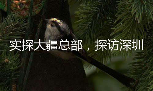 實探大疆總部，探訪深圳科技創(chuàng)新的心臟地帶——夜幕下的忙碌場景令人驚嘆