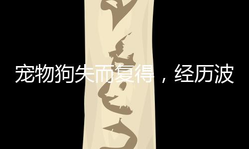 寵物狗失而復(fù)得，經(jīng)歷波折終團(tuán)圓，洗澡驅(qū)蟲盡顯關(guān)愛
