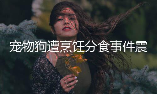 寵物狗遭烹飪分食事件震驚社會，道德倫理與法律責任的思考
