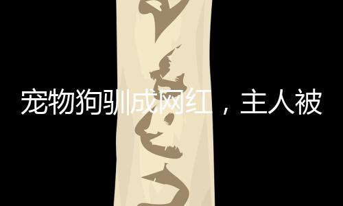 寵物狗馴成網(wǎng)紅，主人被迫簽天價(jià)合同