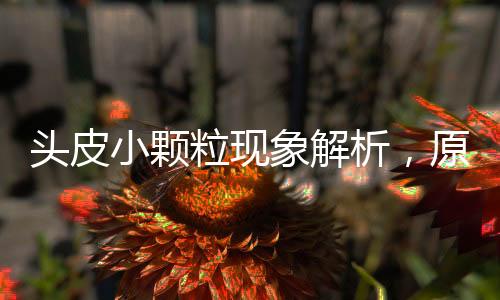 頭皮小顆?，F(xiàn)象解析，原因、影響與應對之道