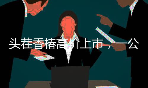頭茬香椿高價上市，一公斤240元搶鮮嘗鮮
