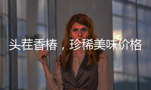 頭茬香椿，珍稀美味價(jià)格飆升，每公斤高達(dá)240元