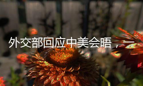 外交部回應(yīng)中美會(huì)晤，一探新的對(duì)話機(jī)遇，展望中美未來(lái)合作之路
