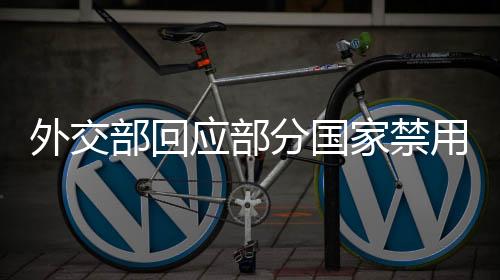 外交部回應(yīng)部分國(guó)家禁用DeepSeek，技術(shù)中立與全球合作的重要性
