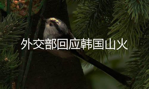 外交部回應(yīng)韓國山火