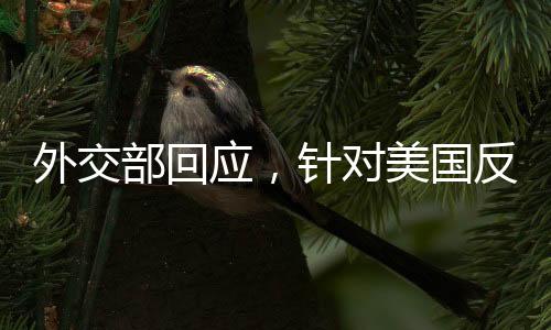 外交部回應(yīng)，針對美國反制措施的堅定立場與應(yīng)對策略