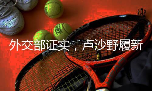 外交部證實，盧沙野履新