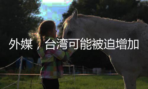 外媒，臺(tái)灣可能被迫增加采購美國武器