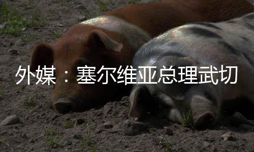 外媒：塞爾維亞總理武切維奇宣布辭職