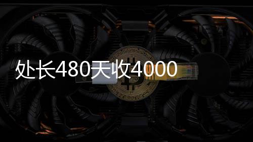 處長(zhǎng)480天收4000萬，探究背后的故事與深意