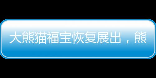 大熊貓福寶恢復(fù)展出，熊貓迷們的盛大節(jié)日
