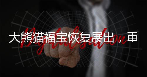 大熊貓福寶恢復(fù)展出，重回展區(qū)的國(guó)寶展現(xiàn)生機(jī)與活力