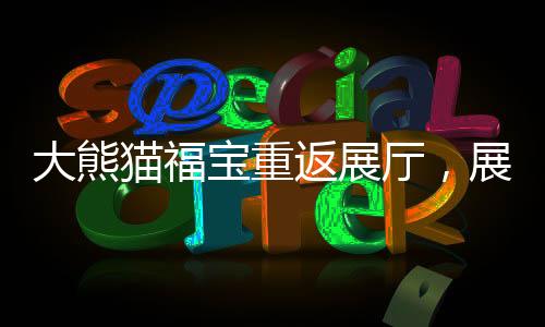大熊貓福寶重返展廳，展現(xiàn)康復風采