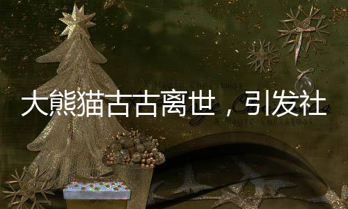 大熊貓古古離世，引發(fā)社會(huì)廣泛哀悼