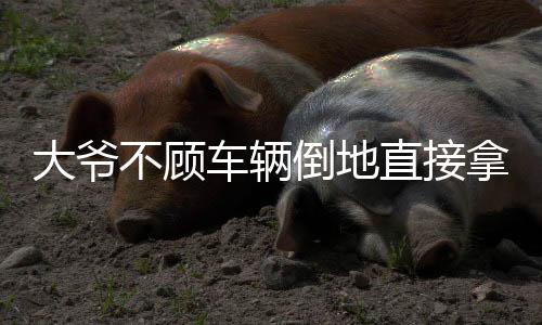 大爺不顧車(chē)輛倒地直接拿走起落架，一則關(guān)于勇氣與責(zé)任的故事
