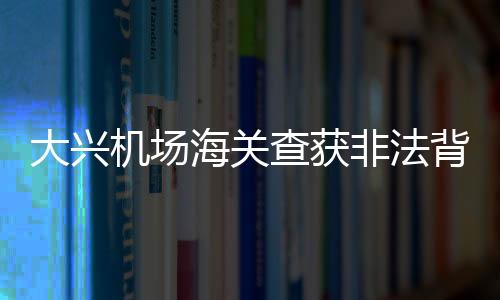 大興機(jī)場海關(guān)查獲非法背運(yùn)卷煙案，涉案卷煙達(dá)26600支