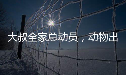 大叔全家總動(dòng)員，動(dòng)物出擊，共抓老鼠大作戰(zhàn)