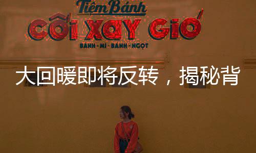 大回暖即將反轉，揭秘背后趨勢與發(fā)展新動力