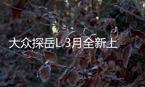 大眾探岳L 3月全新上市，一款引人注目的車型正式亮相，細(xì)節(jié)一探究竟