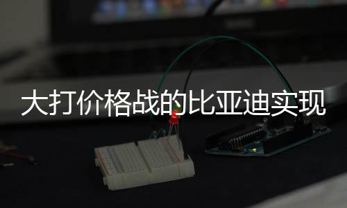 大打價格戰(zhàn)的比亞迪實現(xiàn)凈賺400億元，戰(zhàn)略調(diào)整與技術(shù)創(chuàng)新鑄就成功之道
