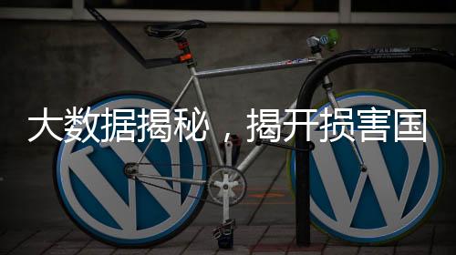 大數(shù)據(jù)揭秘，揭開(kāi)損害國(guó)家稅收利益的司馬南真面目