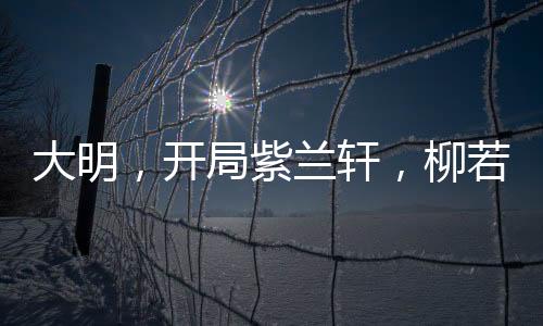 大明，開局紫蘭軒，柳若馨當(dāng)花魁