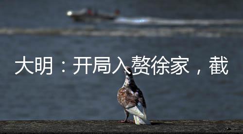 大明：開局入贅徐家，截胡徐妙云