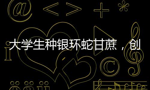 大學(xué)生種銀環(huán)蛇甘蔗，創(chuàng)新農(nóng)業(yè)與生態(tài)保護(hù)結(jié)合的新篇章