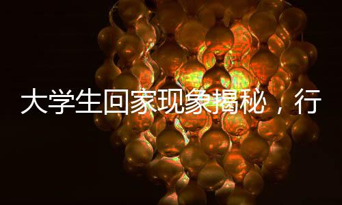 大學(xué)生回家現(xiàn)象揭秘，行李箱變衣柜，反映家庭與社會變遷的微觀故事