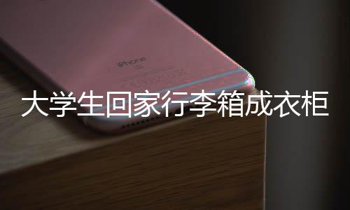 大學(xué)生回家行李箱成衣柜，行李背后的故事與反思