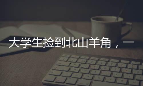 大學(xué)生撿到北山羊角，一場意外的自然奇緣揭秘