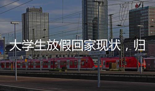 大學(xué)生放假回家現(xiàn)狀，歸途百態(tài)與社會心理的鏡像映射