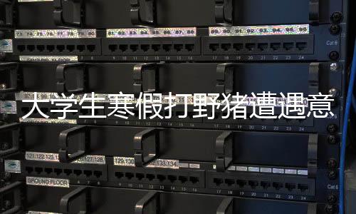 大學(xué)生寒假打野豬遭遇意外身亡，引發(fā)社會關(guān)注