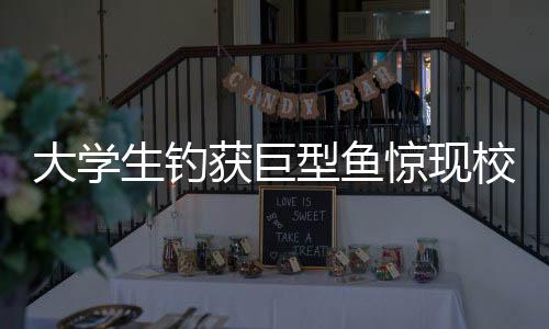 大學(xué)生釣獲巨型魚驚現(xiàn)校園，炫耀兩小時(shí)，刷新校園記錄！
