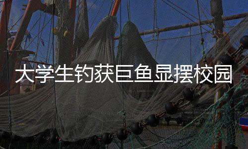 大學生釣獲巨魚顯擺校園兩小時，一次非凡的釣魚經歷分享
