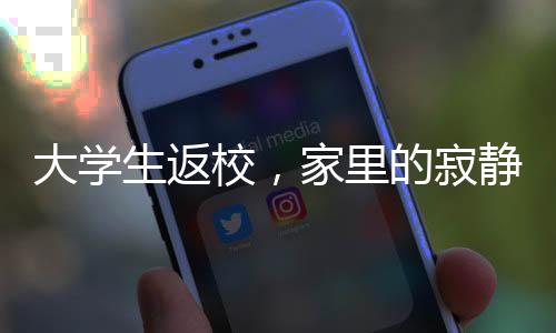 大學(xué)生返校，家里的寂靜與承重墻的寓意