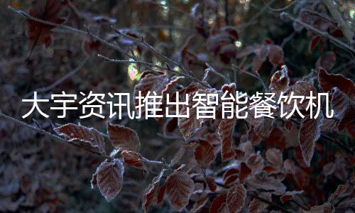 大宇資訊推出智能餐飲機器人 把游戲搬到現(xiàn)實里