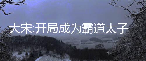 大宋:開局成為霸道太子