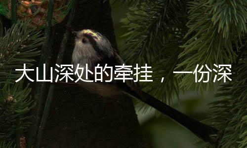 大山深處的牽掛，一份深深的眷戀與堅(jiān)守