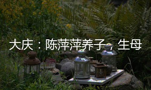 大慶：陳萍萍養(yǎng)子，生母葉輕眉