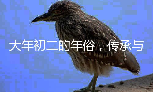 大年初二的年俗，傳承與發(fā)揚