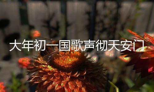 大年初一國歌聲徹天安門廣場，喜慶與莊嚴(yán)的交融