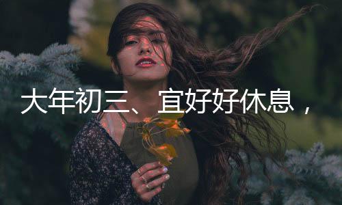 大年初三、宜好好休息，迎接新的一年