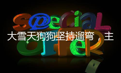 大雪天狗狗堅(jiān)持遛彎，主人無奈被拽，盡顯深厚寵緣