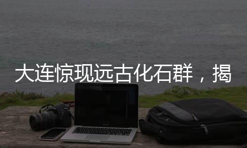 大連驚現(xiàn)遠古化石群，揭秘4億年前生命印記！神奇之處吸引目光，業(yè)界掀起熱潮！