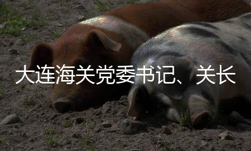 大連海關(guān)黨委書記、關(guān)長(zhǎng)劉大立接受紀(jì)律審查和監(jiān)察調(diào)查