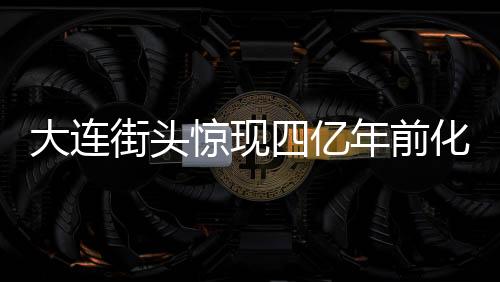 大連街頭驚現(xiàn)四億年前化石，市民偶遇史前寶藏