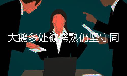 大鵝多處被烤熟仍堅(jiān)守同伴，悲情場(chǎng)景令人動(dòng)容