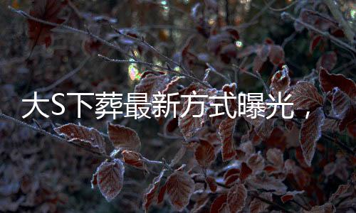 大S下葬最新方式曝光，創(chuàng)新葬禮理念與個(gè)性化服務(wù)的融合引領(lǐng)新風(fēng)尚